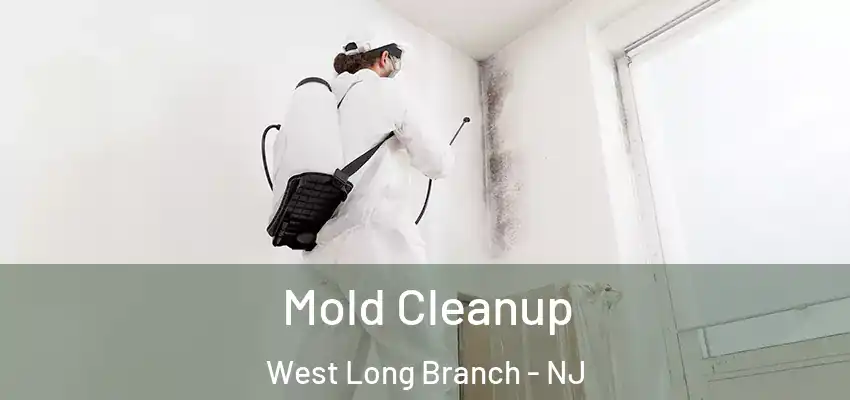 Mold Cleanup West Long Branch - NJ
