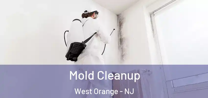  Mold Cleanup West Orange - NJ