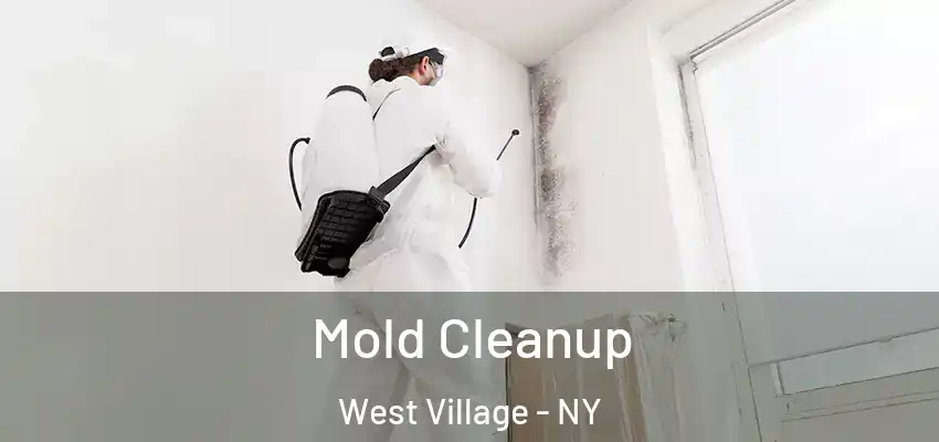 Mold Cleanup West Village - NY