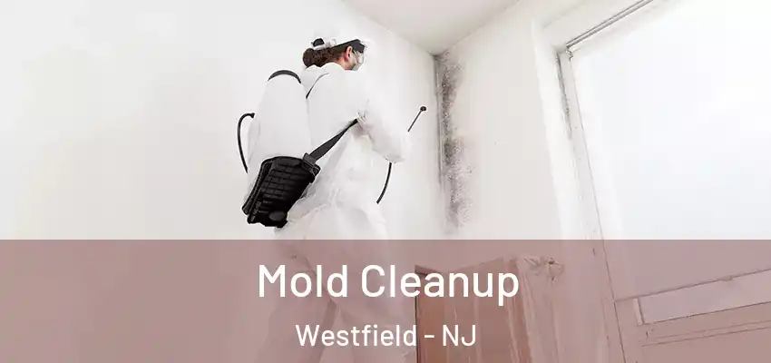  Mold Cleanup Westfield - NJ