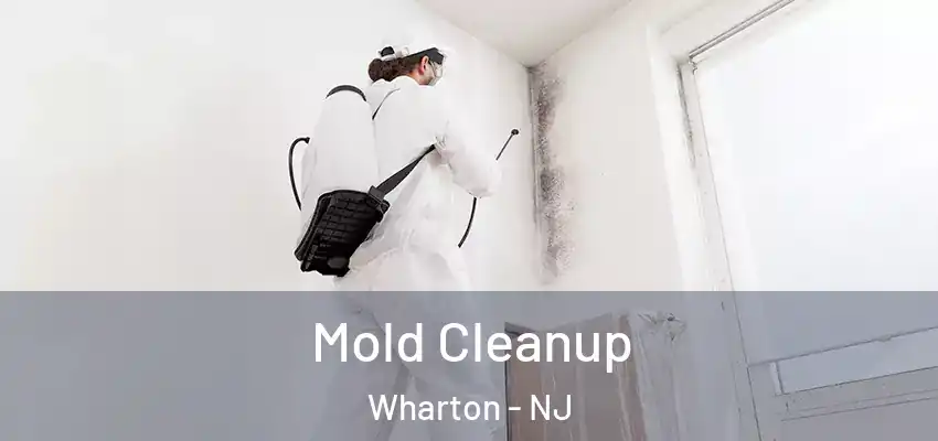 Mold Cleanup Wharton - NJ