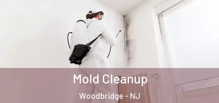  Mold Cleanup Woodbridge - NJ