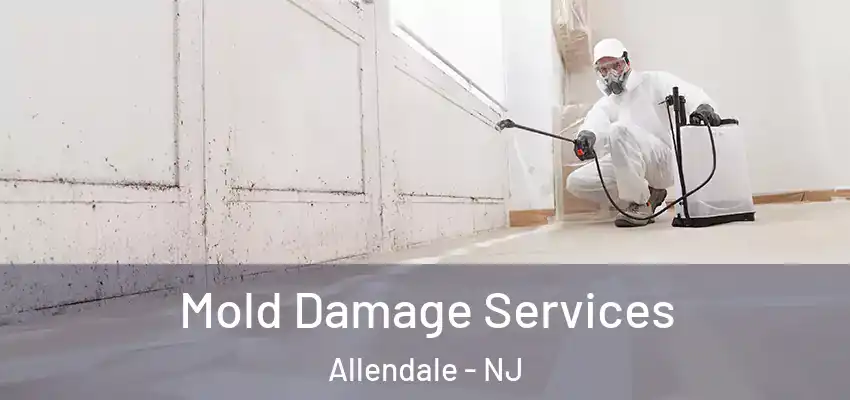 Mold Damage Services Allendale - NJ