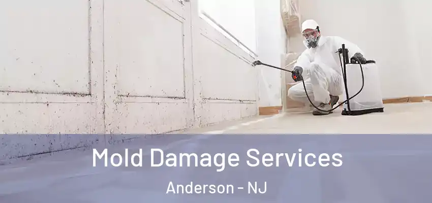 Mold Damage Services Anderson - NJ