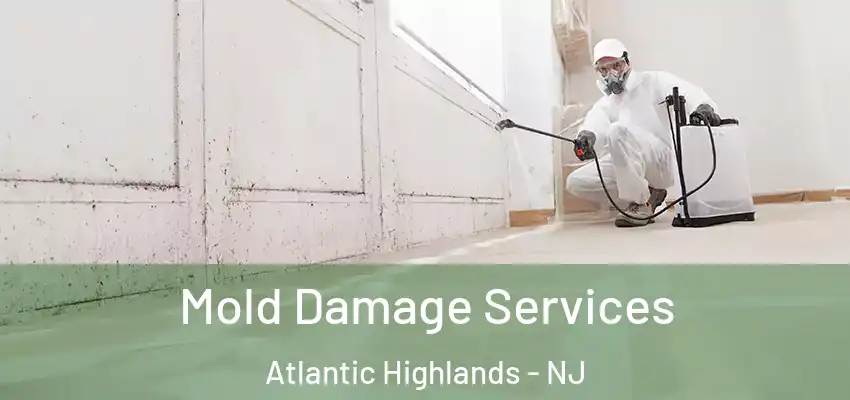  Mold Damage Services Atlantic Highlands - NJ