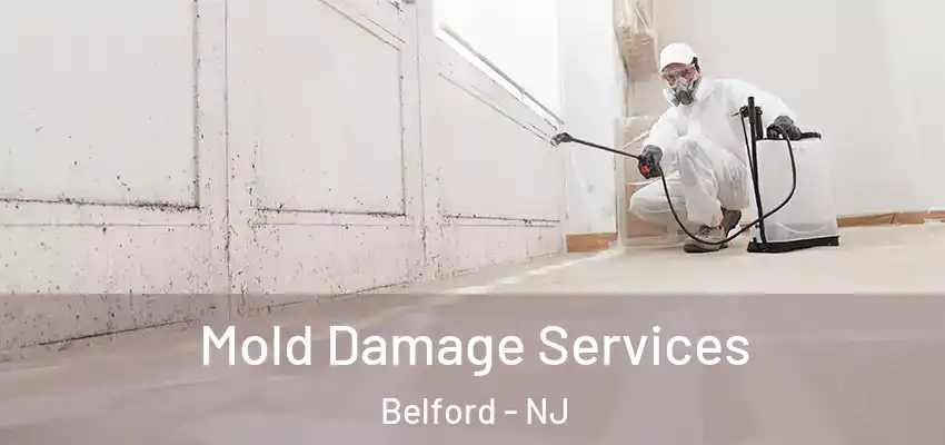  Mold Damage Services Belford - NJ