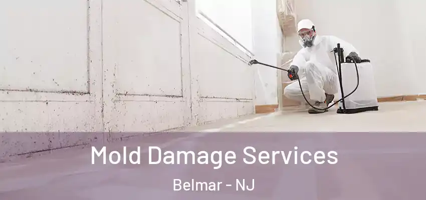 Mold Damage Services Belmar - NJ