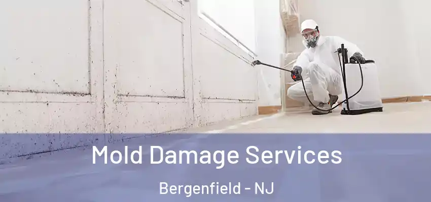 Mold Damage Services Bergenfield - NJ