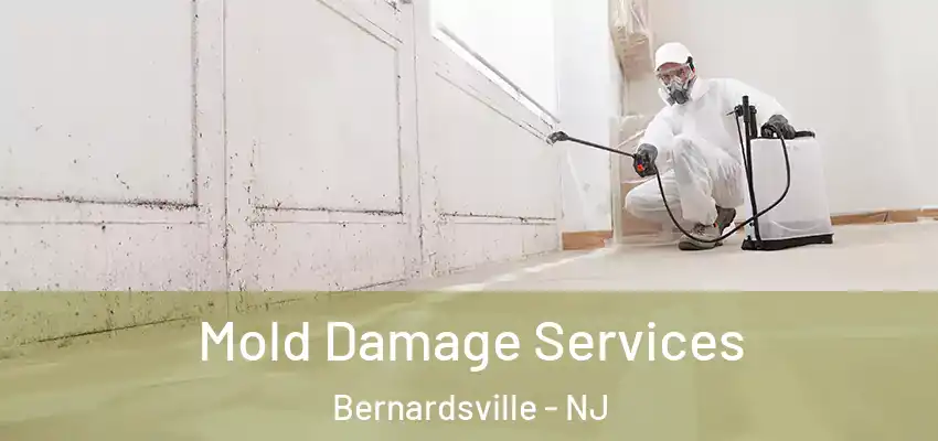 Mold Damage Services Bernardsville - NJ