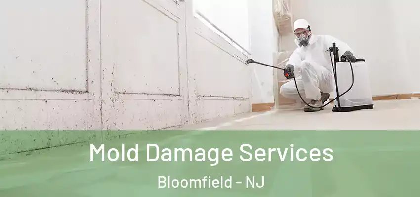  Mold Damage Services Bloomfield - NJ