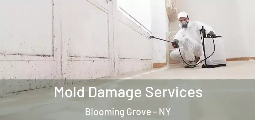  Mold Damage Services Blooming Grove - NY