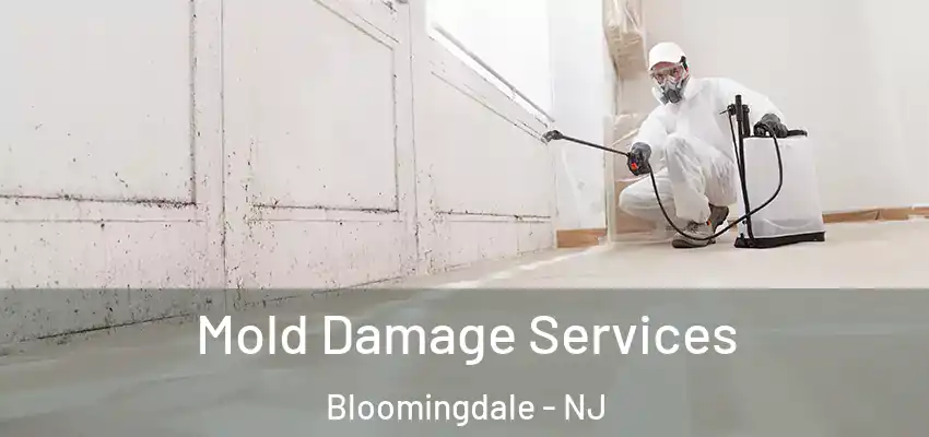 Mold Damage Services Bloomingdale - NJ