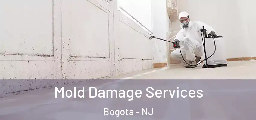  Mold Damage Services Bogota - NJ