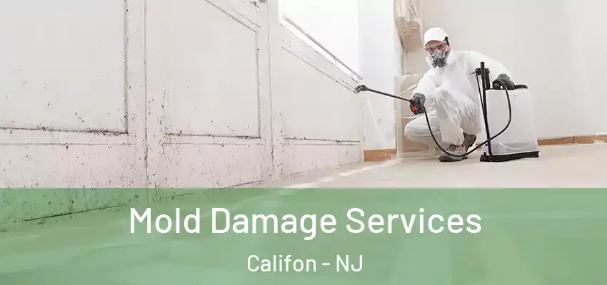 Mold Damage Services Califon - NJ