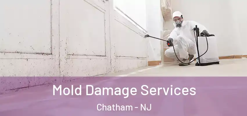 Mold Damage Services Chatham - NJ