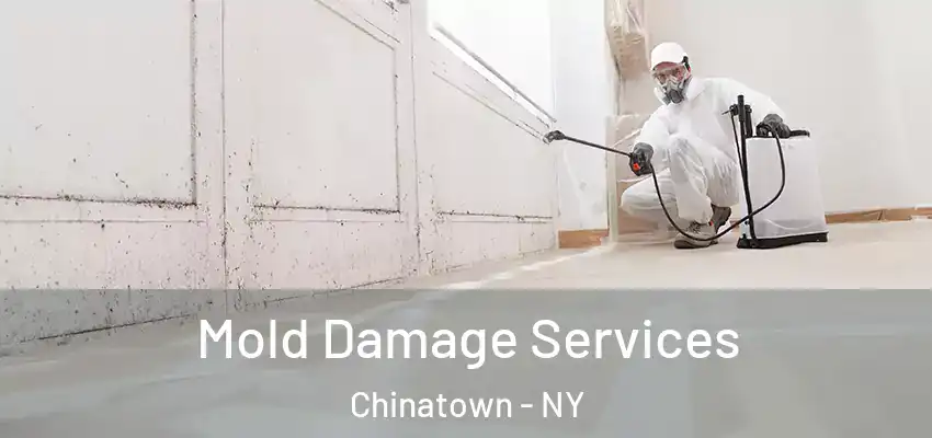 Mold Damage Services Chinatown - NY