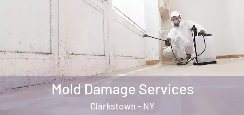 Mold Damage Services Clarkstown - NY
