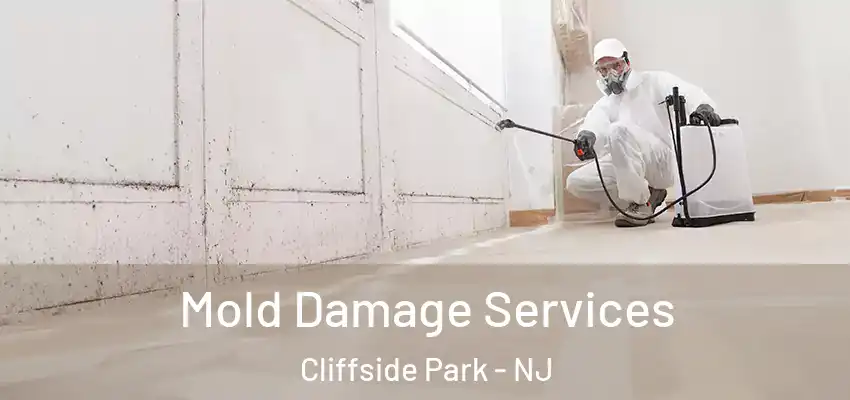 Mold Damage Services Cliffside Park - NJ