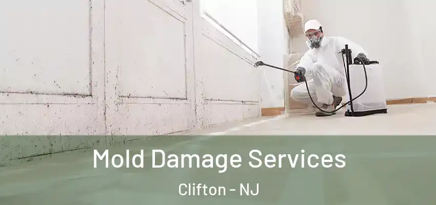 Mold Damage Services Clifton - NJ
