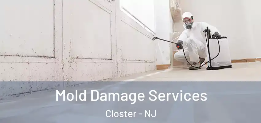 Mold Damage Services Closter - NJ