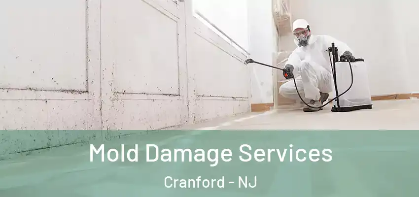 Mold Damage Services Cranford - NJ