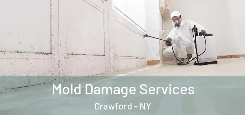  Mold Damage Services Crawford - NY