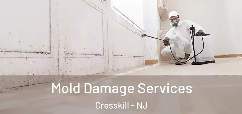Mold Damage Services Cresskill - NJ