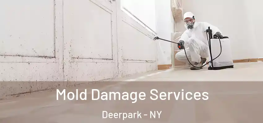 Mold Damage Services Deerpark - NY
