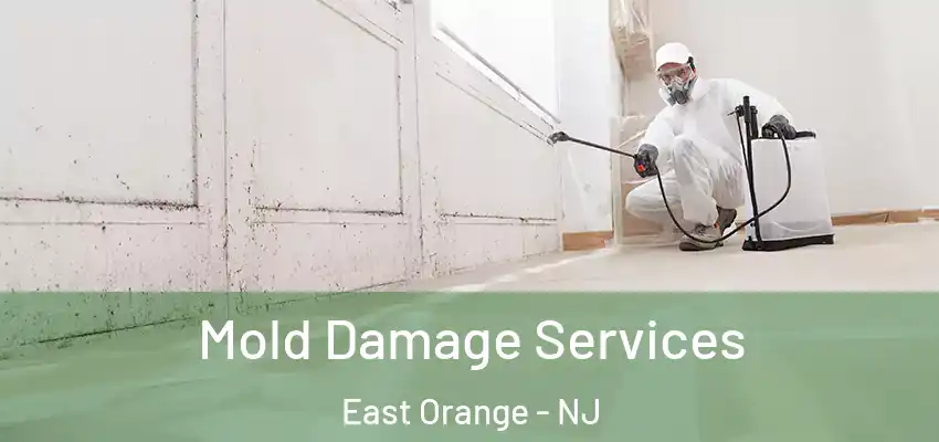 Mold Damage Services East Orange - NJ