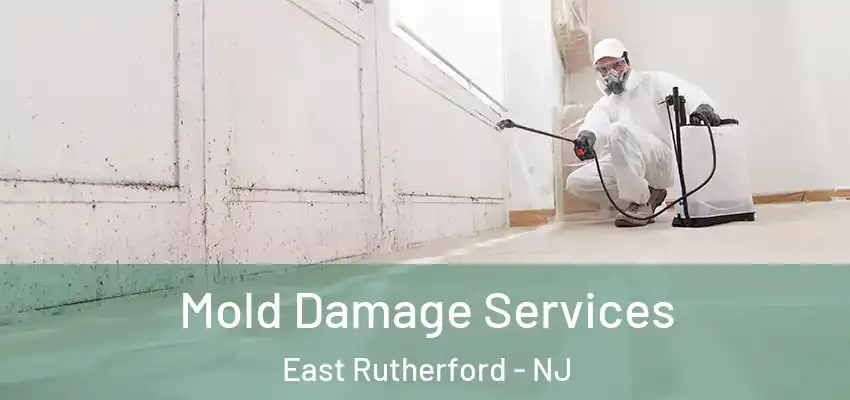 Mold Damage Services East Rutherford - NJ