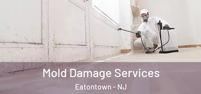 Mold Damage Services Eatontown - NJ