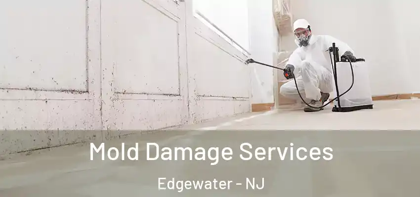 Mold Damage Services Edgewater - NJ