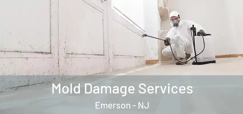  Mold Damage Services Emerson - NJ