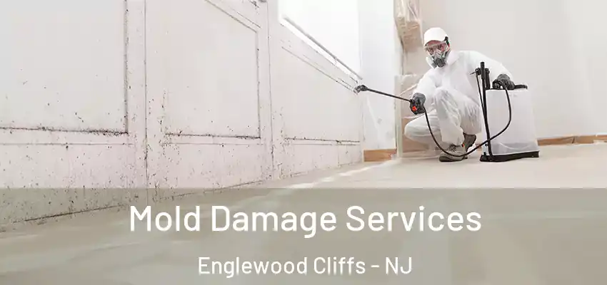  Mold Damage Services Englewood Cliffs - NJ