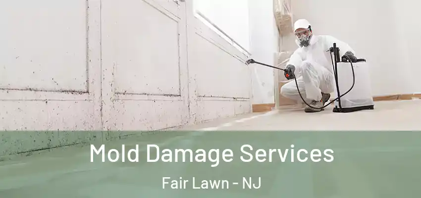  Mold Damage Services Fair Lawn - NJ