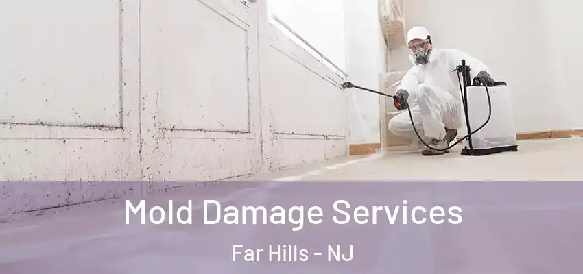  Mold Damage Services Far Hills - NJ