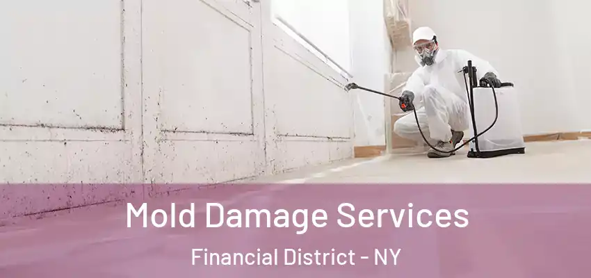  Mold Damage Services Financial District - NY