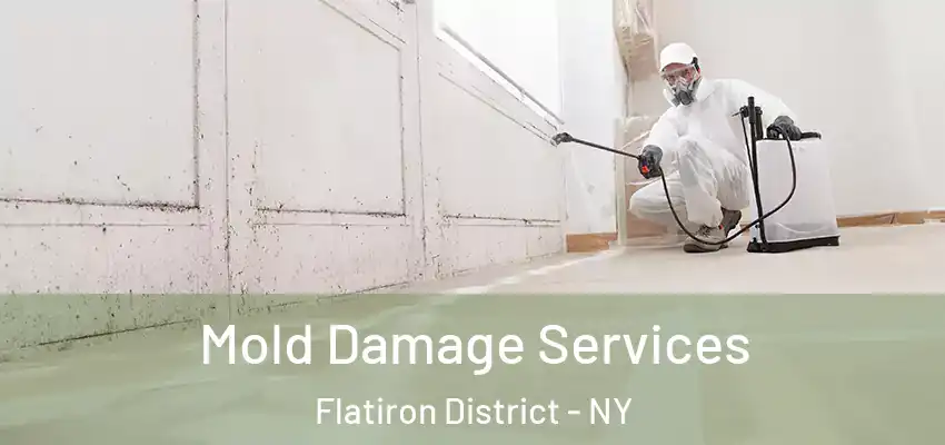 Mold Damage Services Flatiron District - NY