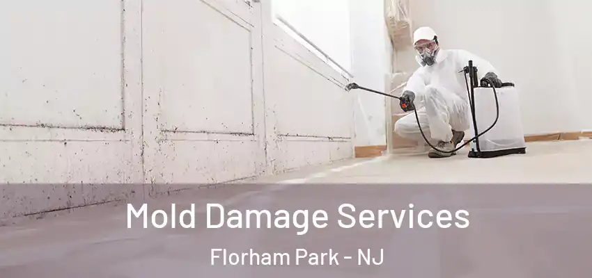  Mold Damage Services Florham Park - NJ