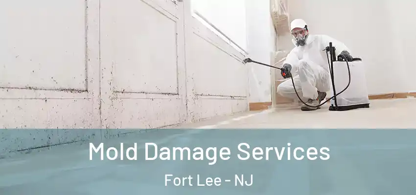 Mold Damage Services Fort Lee - NJ