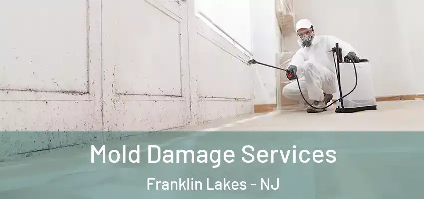  Mold Damage Services Franklin Lakes - NJ