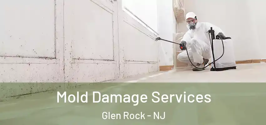  Mold Damage Services Glen Rock - NJ