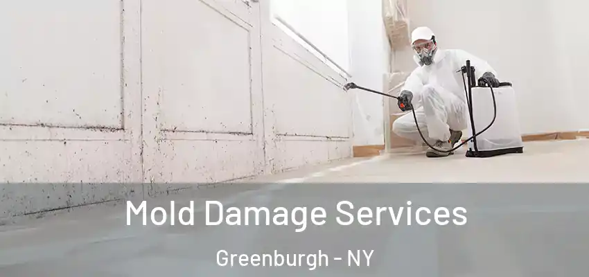 Mold Damage Services Greenburgh - NY