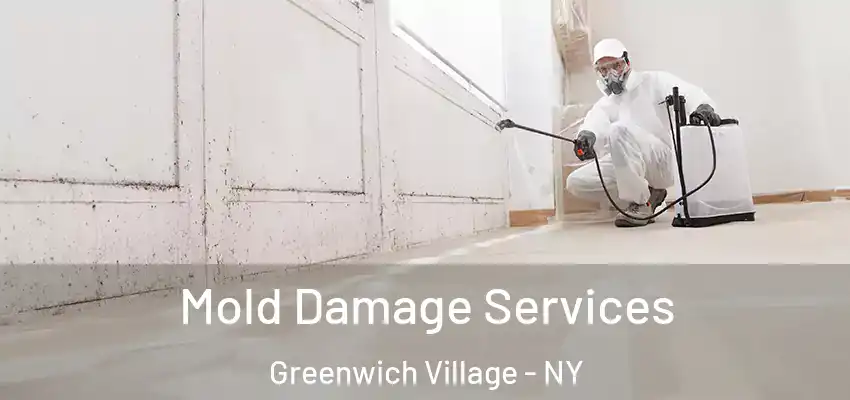 Mold Damage Services Greenwich Village - NY