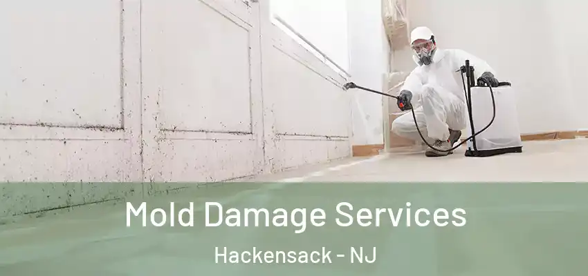 Mold Damage Services Hackensack - NJ