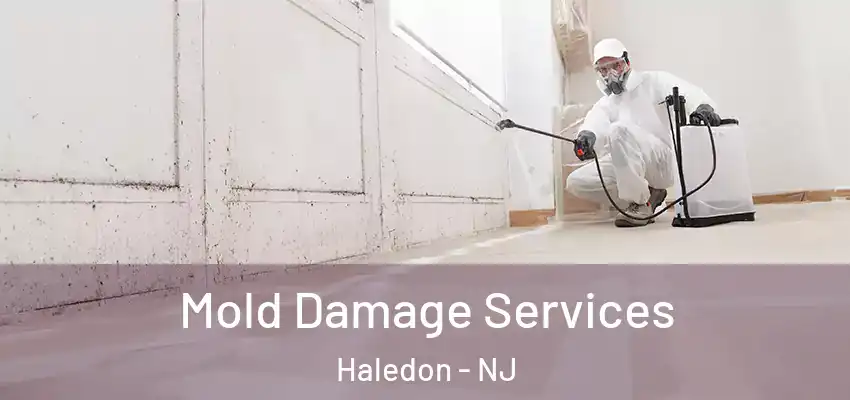 Mold Damage Services Haledon - NJ