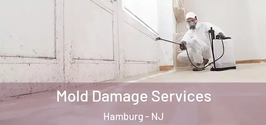 Mold Damage Services Hamburg - NJ