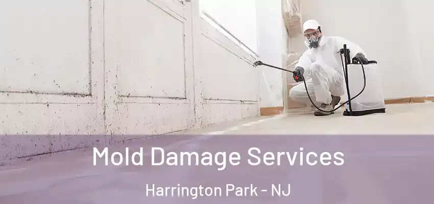 Mold Damage Services Harrington Park - NJ