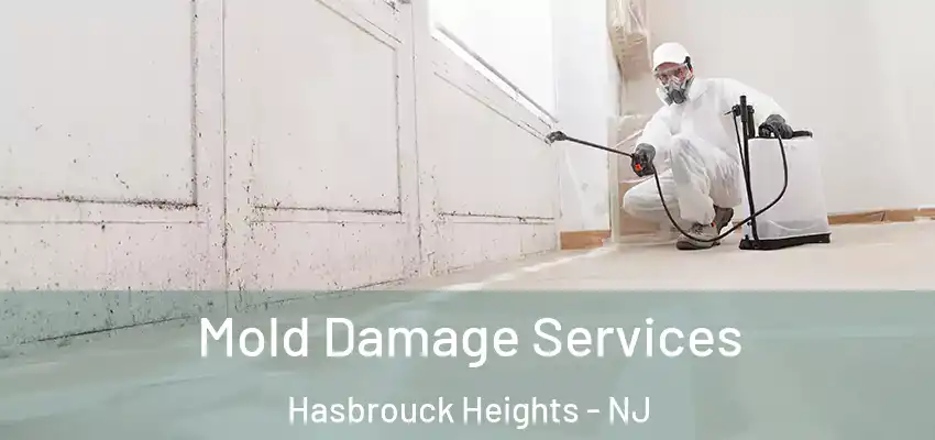  Mold Damage Services Hasbrouck Heights - NJ