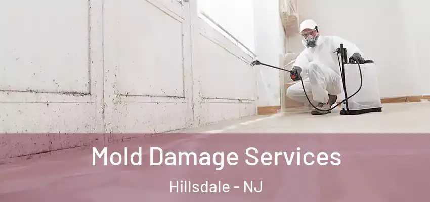 Mold Damage Services Hillsdale - NJ